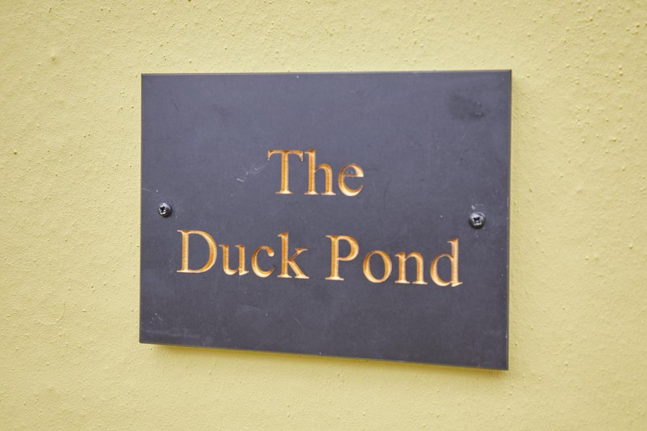 Host & Stay - The Duck Pond Durham Eksteriør billede